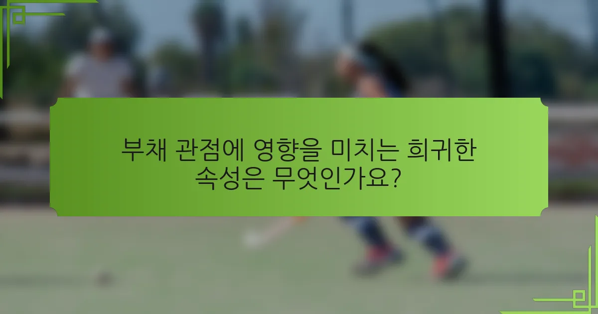 부채 관점에 영향을 미치는 희귀한 속성은 무엇인가요?
