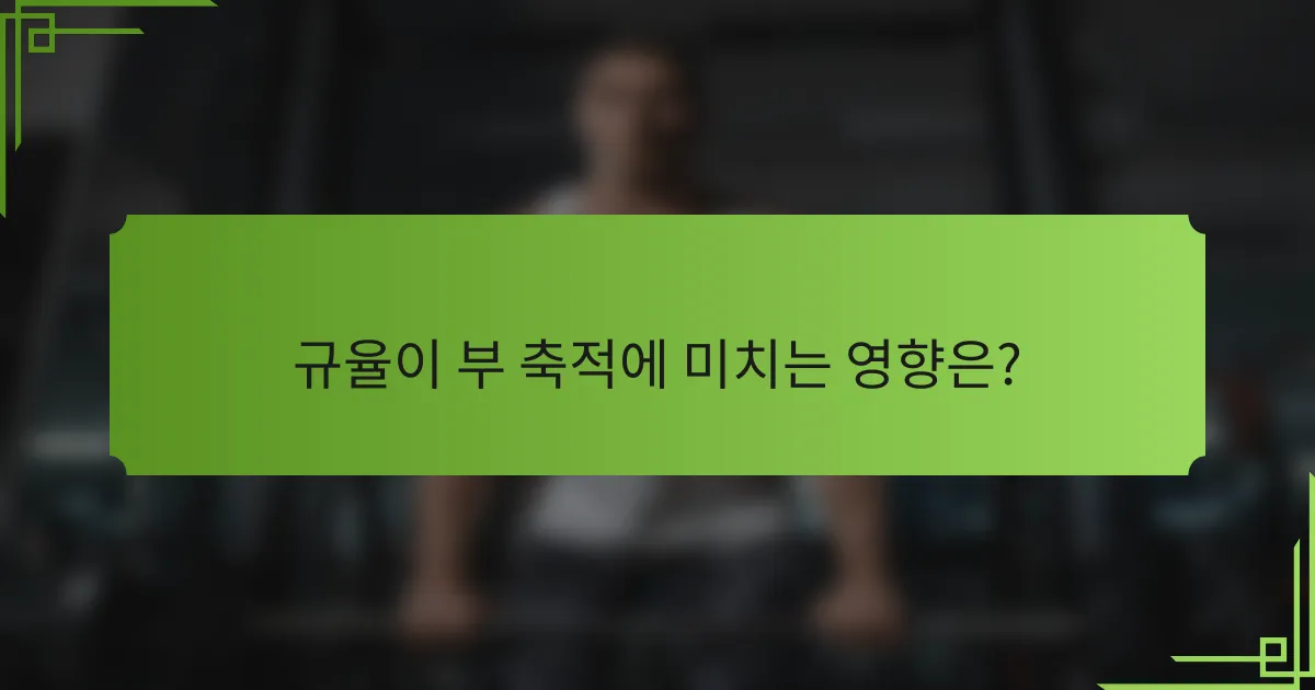 규율이 부 축적에 미치는 영향은?