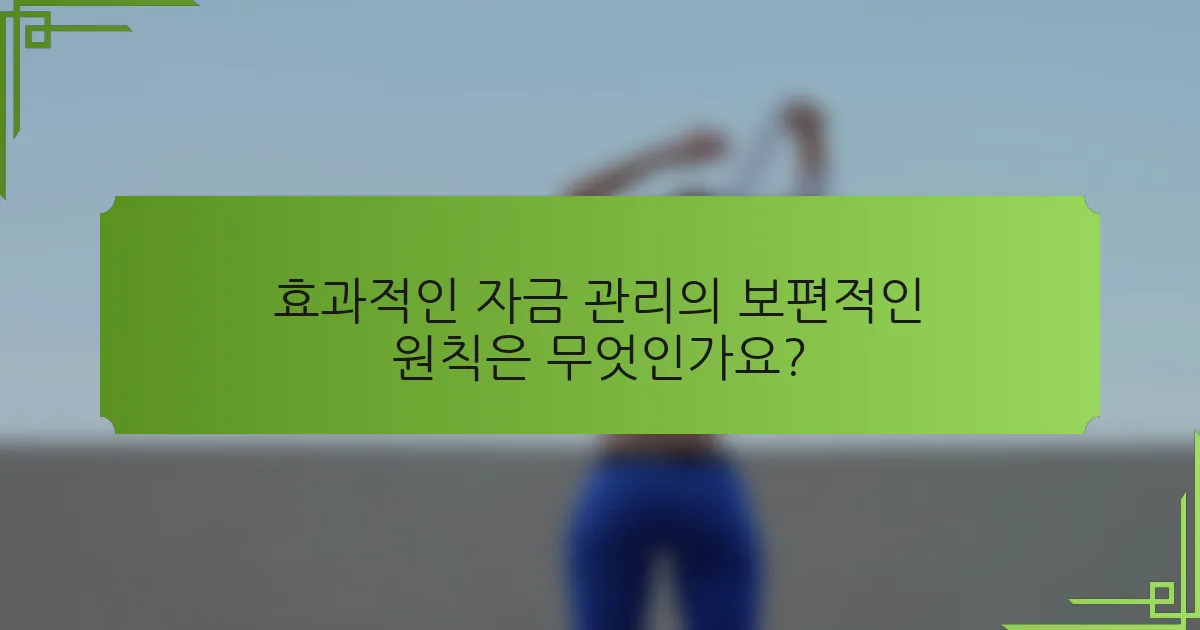 효과적인 자금 관리의 보편적인 원칙은 무엇인가요?