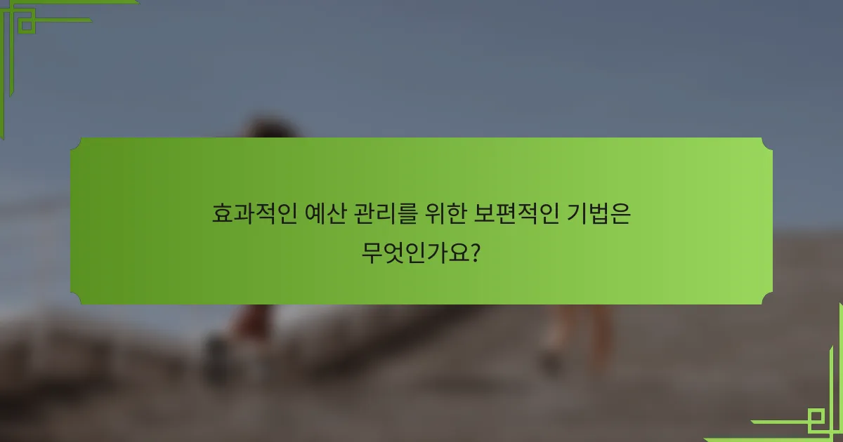 효과적인 예산 관리를 위한 보편적인 기법은 무엇인가요?