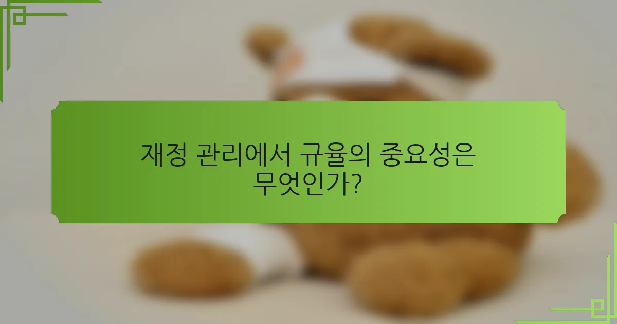 재정 관리에서 규율의 중요성은 무엇인가?