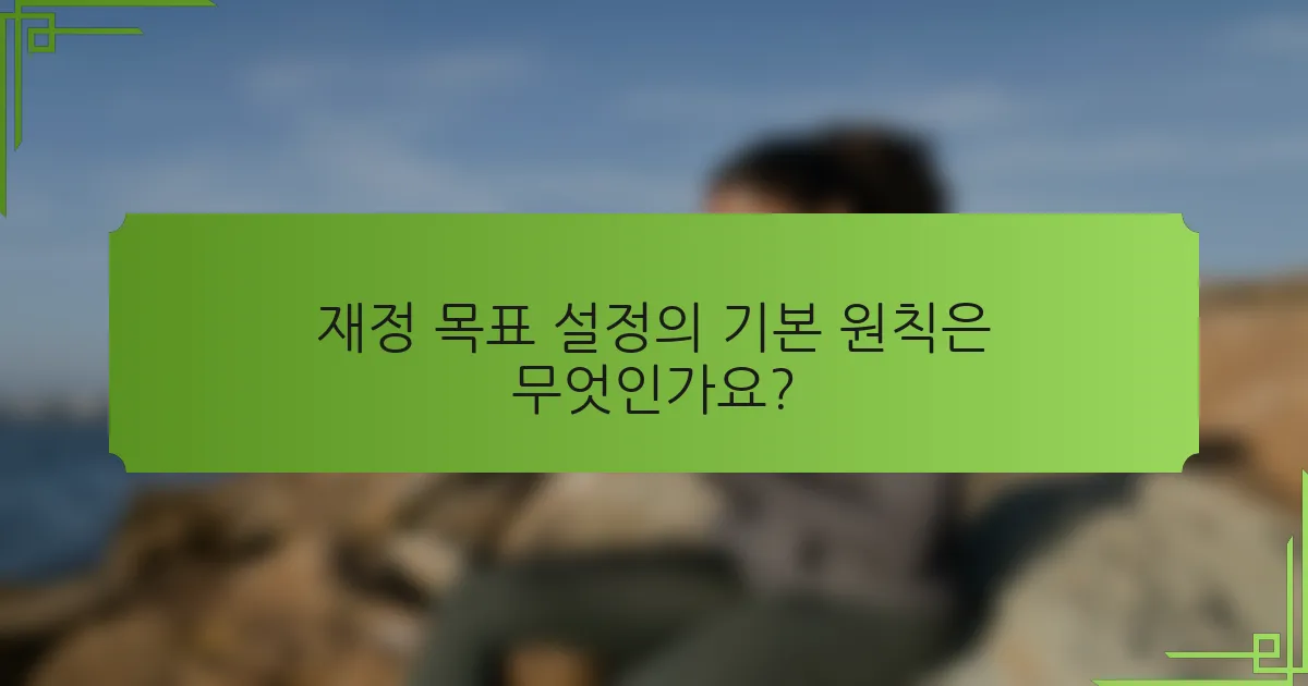 재정 목표 설정의 기본 원칙은 무엇인가요?