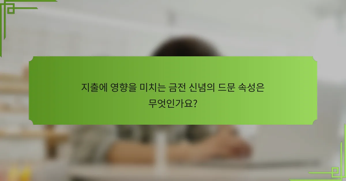 지출에 영향을 미치는 금전 신념의 드문 속성은 무엇인가요?