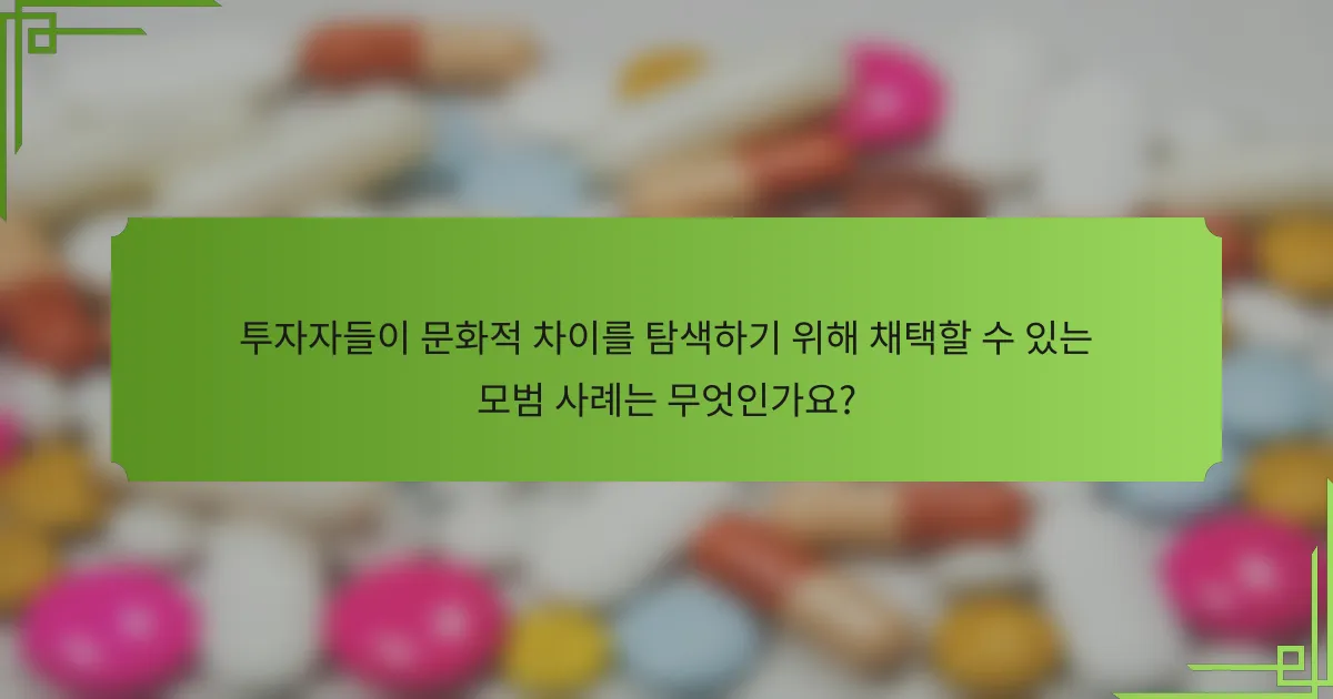 투자자들이 문화적 차이를 탐색하기 위해 채택할 수 있는 모범 사례는 무엇인가요?